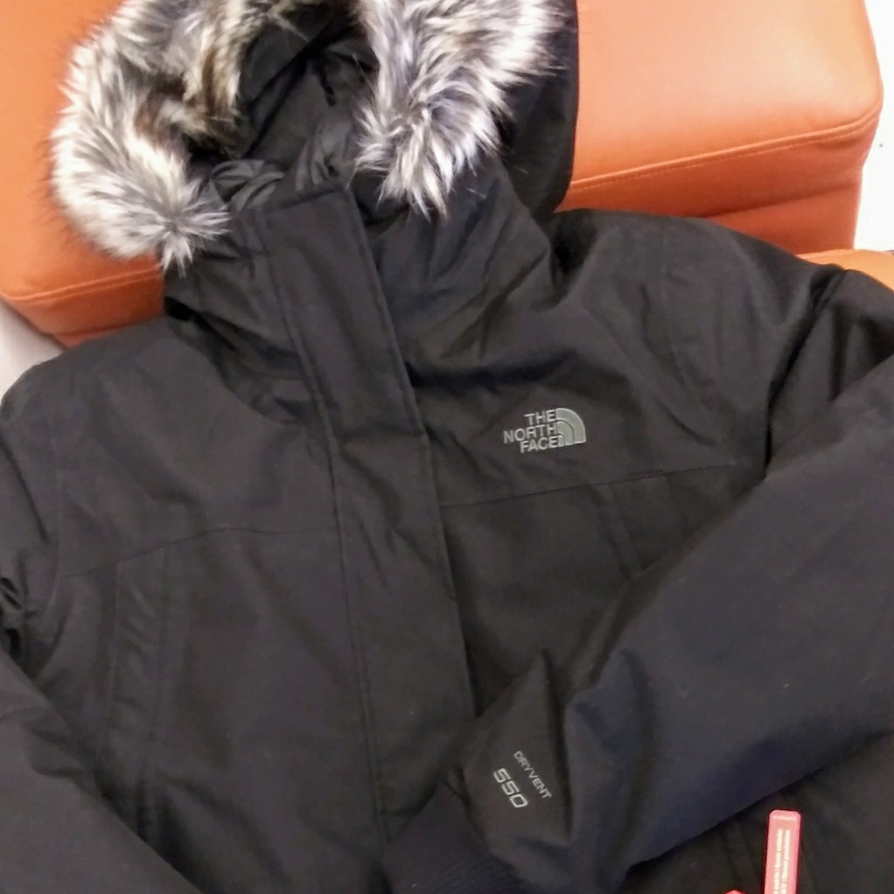 WMN LARGE North Face Nebula Goose Down Bomber